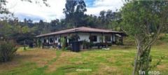 LOURDES LA ALCANCIA  - Finca en San Miguel de sema, Boyacá